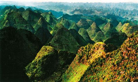 十万大山|广西十万大山国家级自然保护区